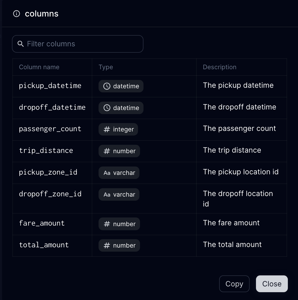 model schema as asset metadata in the Dagster UI